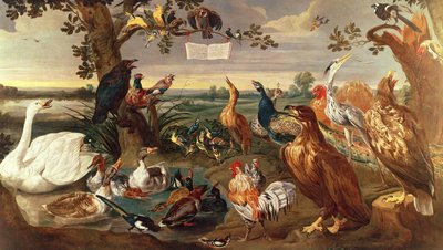 Vari uccelli da Frans Snyders or Snijders